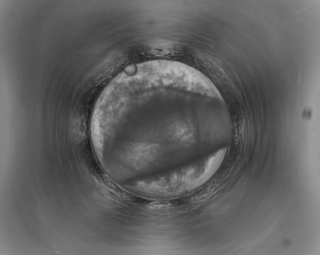 X0000094060606200711091130