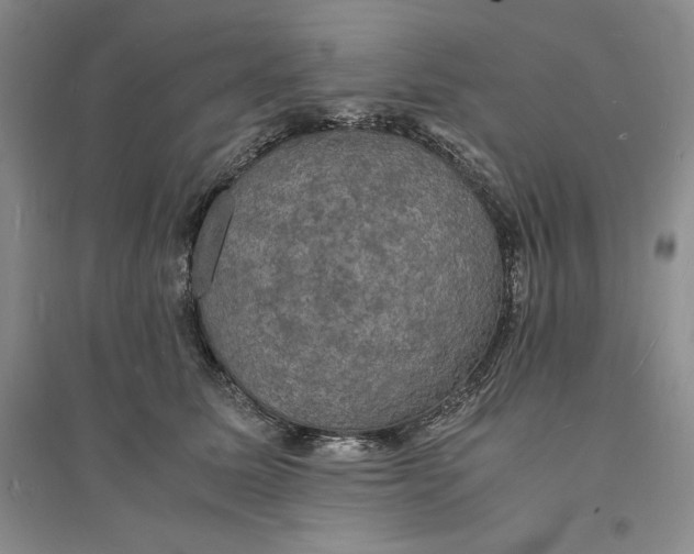 X0000094060611200711091129