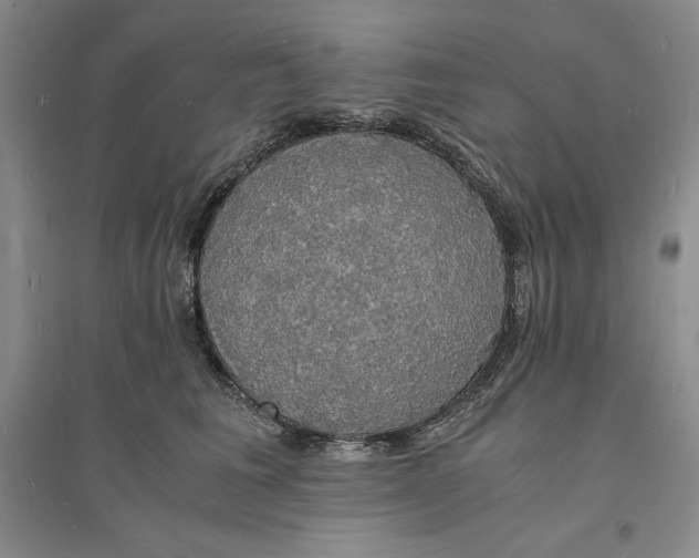 X0000094060613200711091129