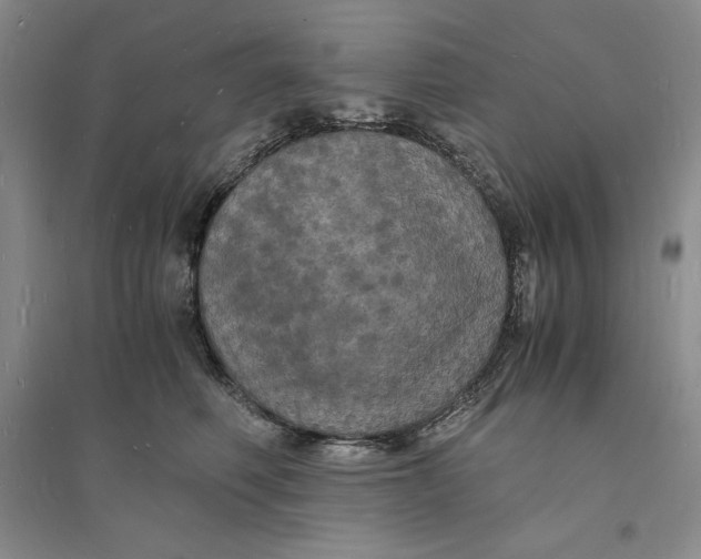 X0000094060614200711091129