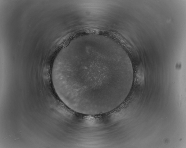 X0000094060616200711091129