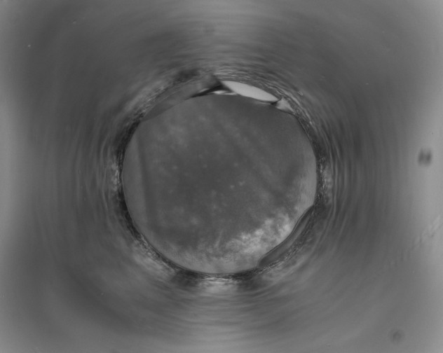 X0000094060617200711091129