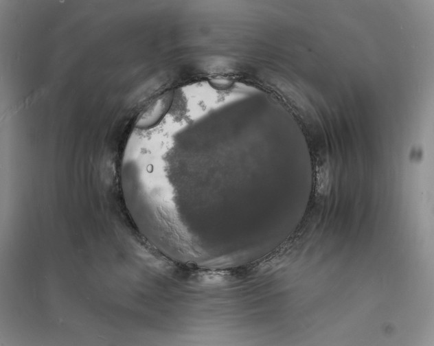 X0000094060618200711091129