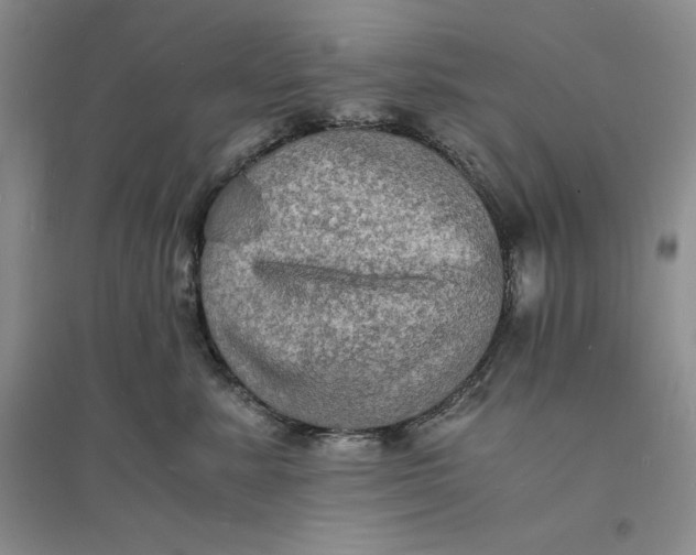 X0000094060619200711091129
