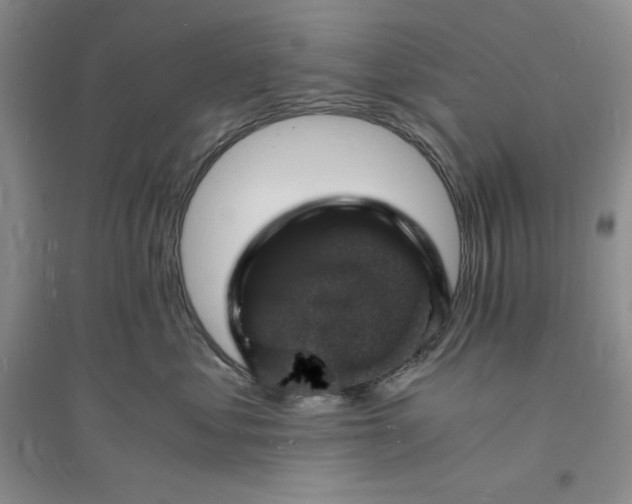 X0000094060621200711091129