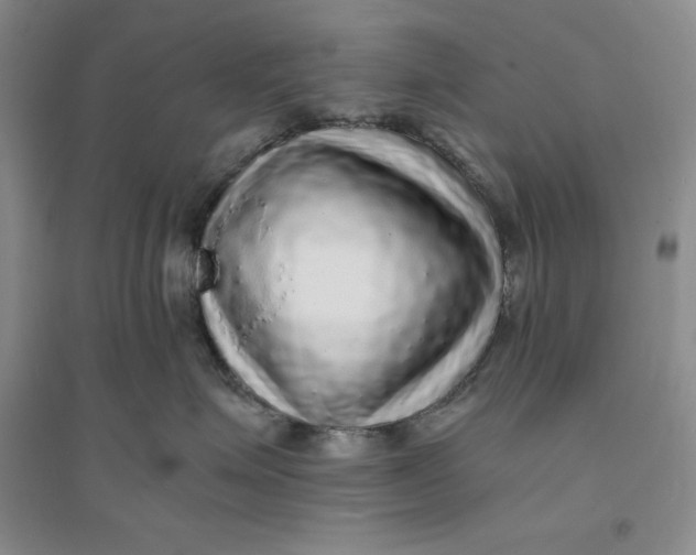 X0000094060623200711091129