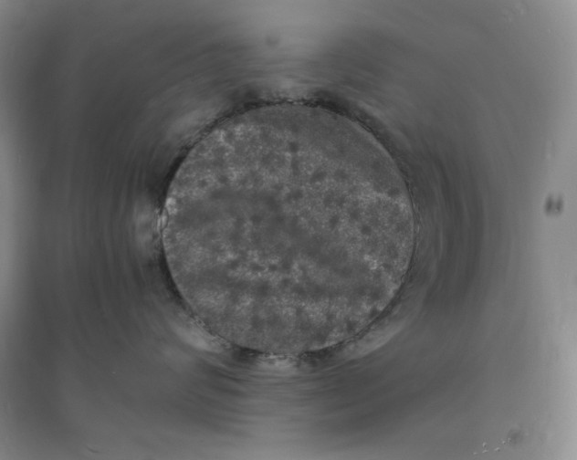 X0000094060624200711091129