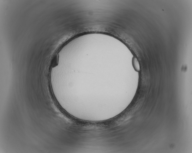 X0000094060625200711091129