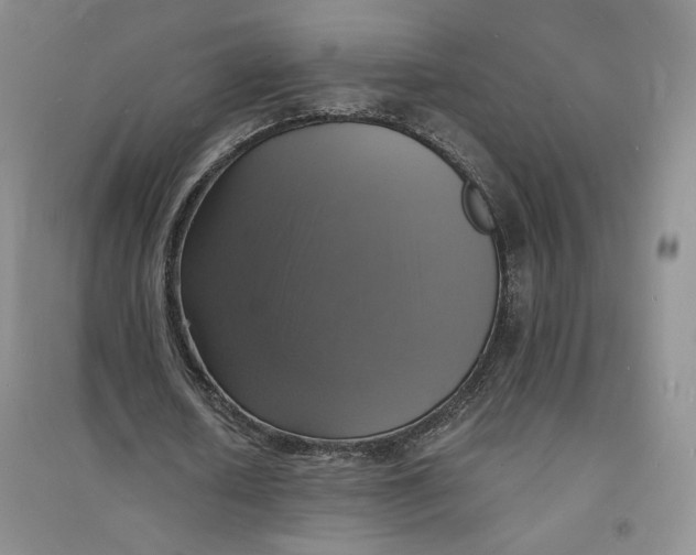 X0000094060626200711091129