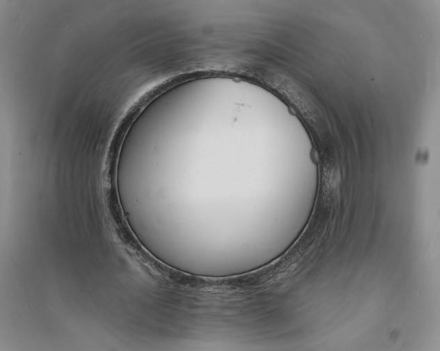 X0000094060628200711091129