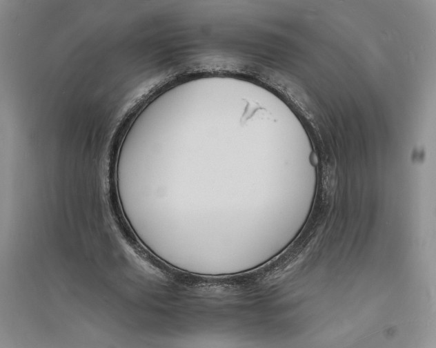 X0000094060629200711091129