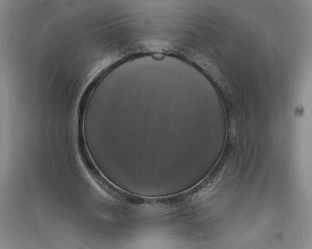 X0000094060630200711091129