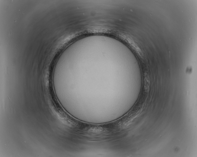 X0000094060631200711091129