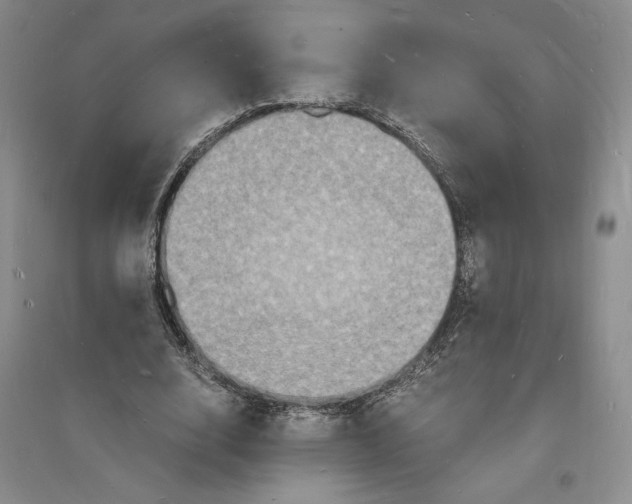 X0000094060632200711091129