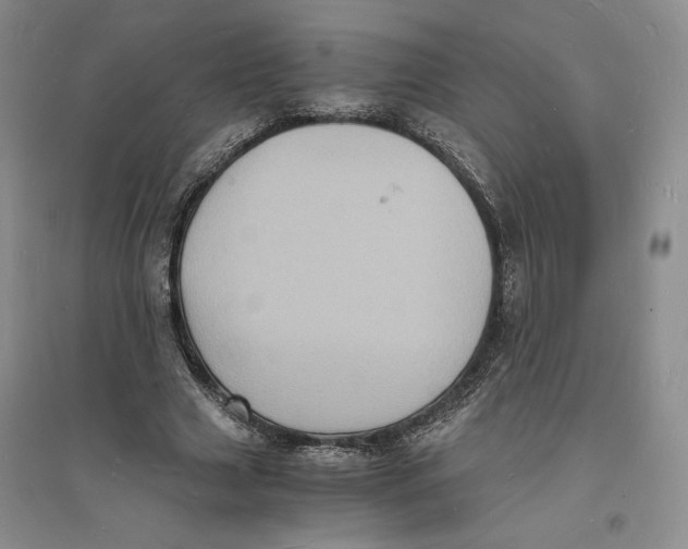 X0000094060633200711091129