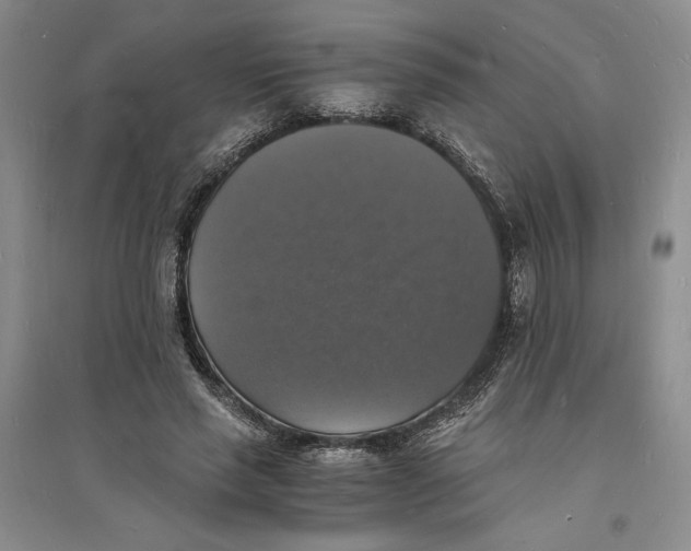 X0000094060637200711091129