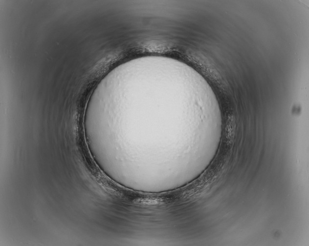 X0000094060639200711091129