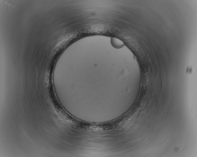 X0000094060640200711091129