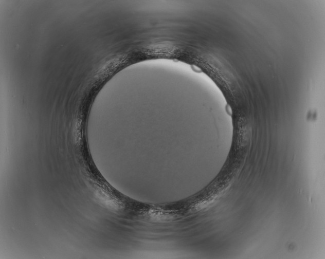 X0000094060641200711091129