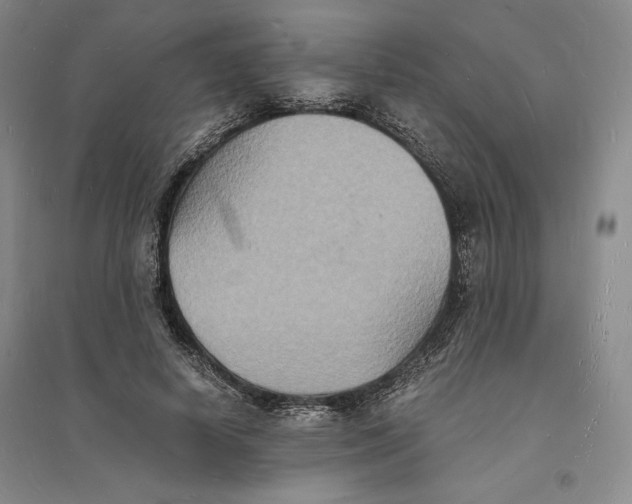 X0000094060642200711091129