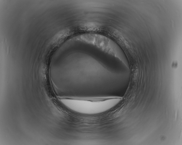 X0000094060643200711091129