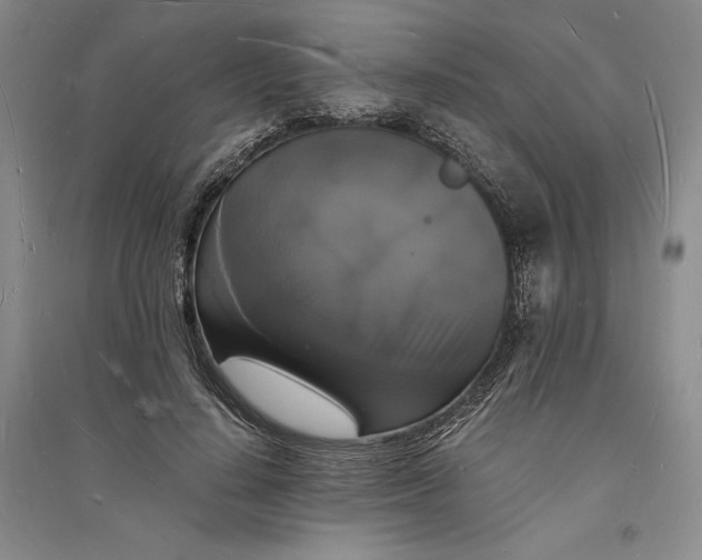 X0000094060644200711091129