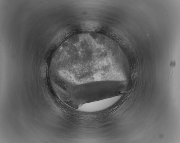 X0000094060647200711091129
