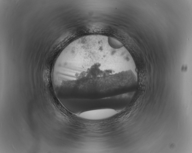 X0000094060648200711091129