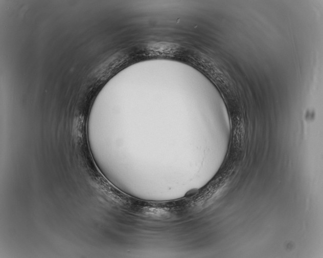X0000094060649200711091129