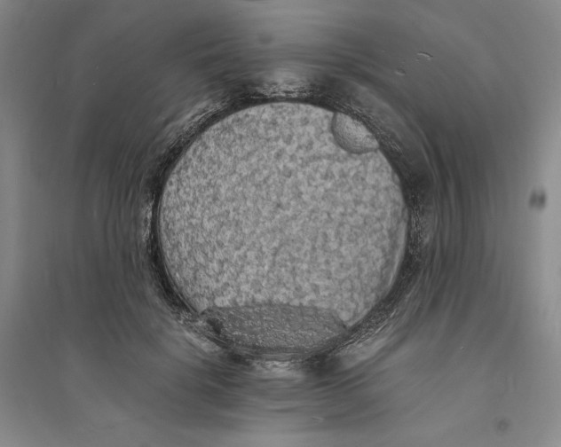 X0000094060652200711091129