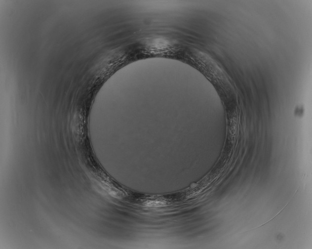 X0000094060653200711091129