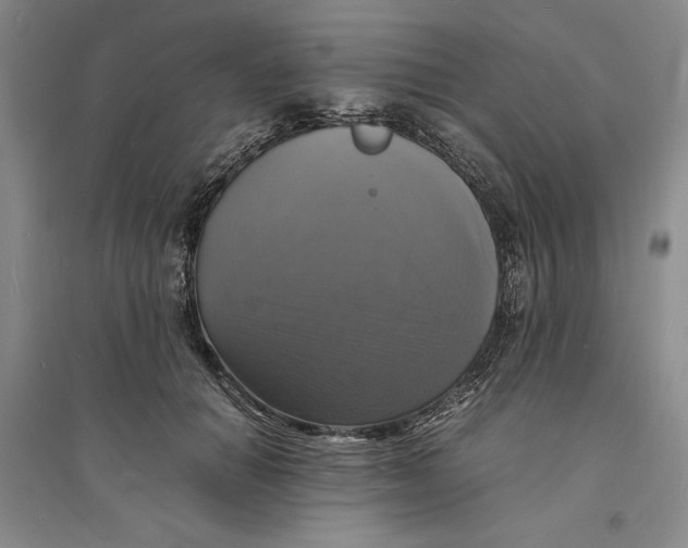 X0000094060654200711091129