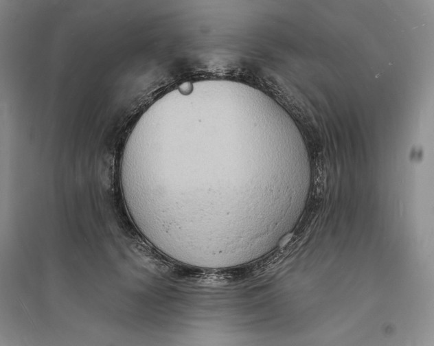 X0000094060656200711091129
