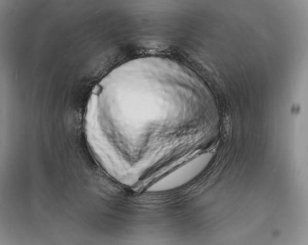 X0000094060657200711091129