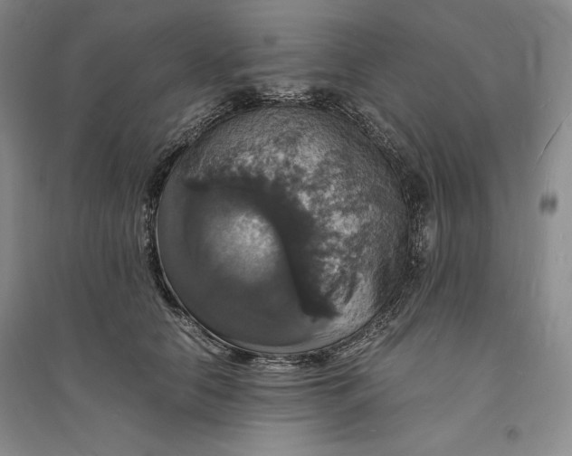 X0000094060658200711091129