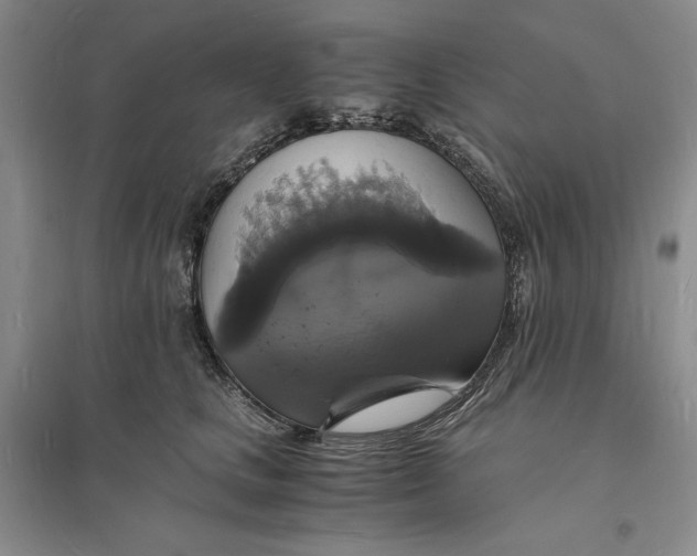 X0000094060661200711091129