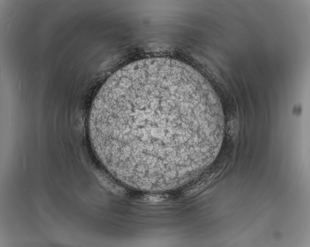 X0000094060662200711091129