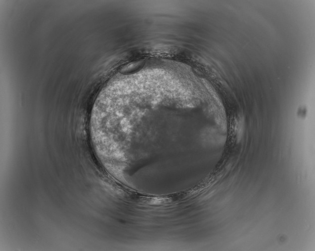 X0000094060663200711091129