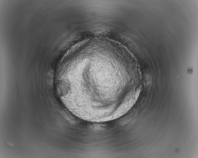 X0000094060664200711091129