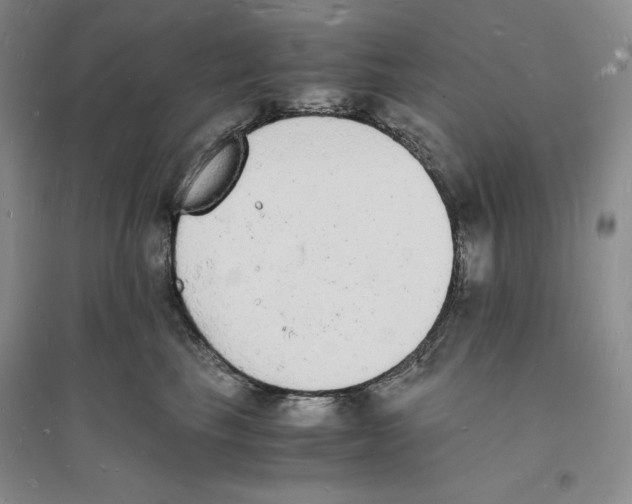 X0000094060665200711091129