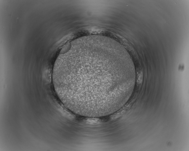 X0000094060666200711091129