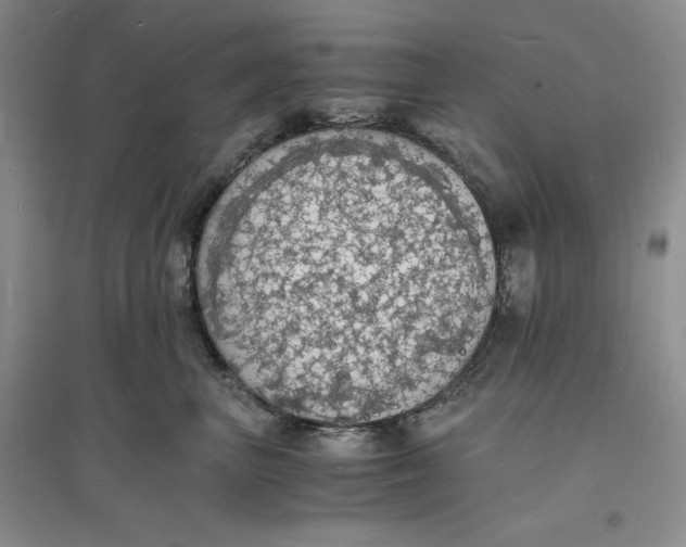X0000094060667200711091129