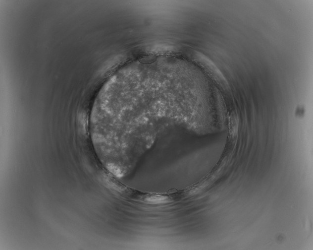 X0000094060669200711091129