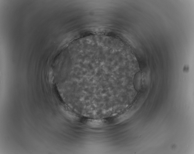 X0000094060671200711091129