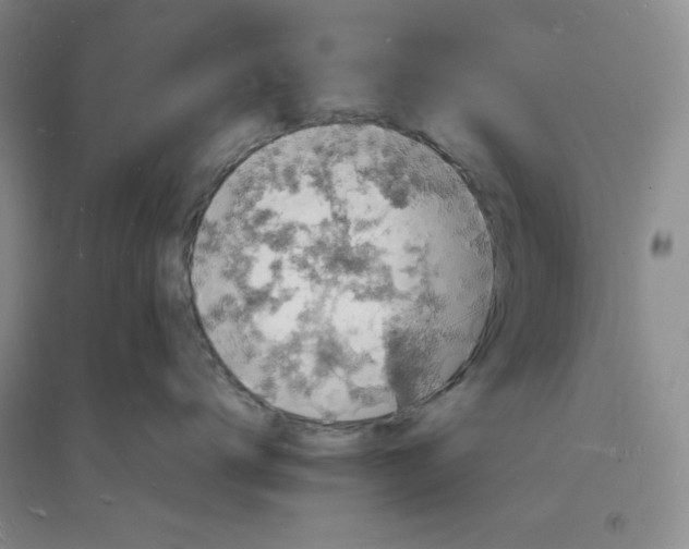 X0000094060672200711091129