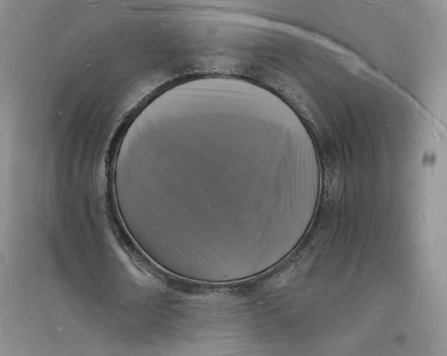 X0000094060674200711091129