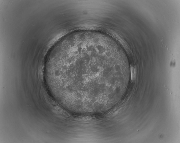 X0000094060675200711091129