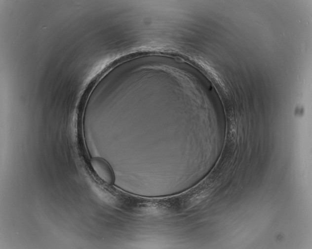 X0000094060678200711091129