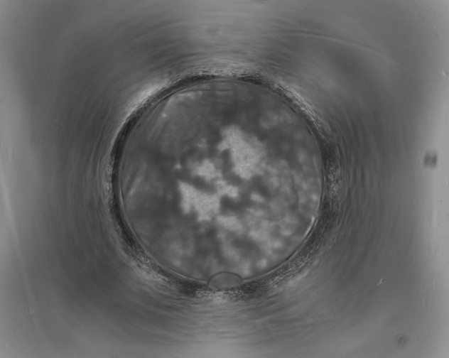 X0000094060679200711091129