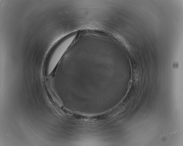 X0000094060680200711091128